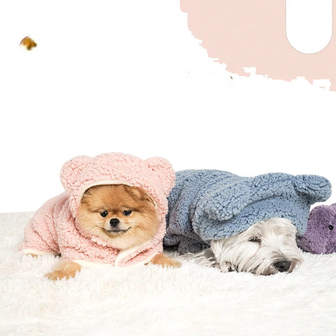 Winter Dog Blanket