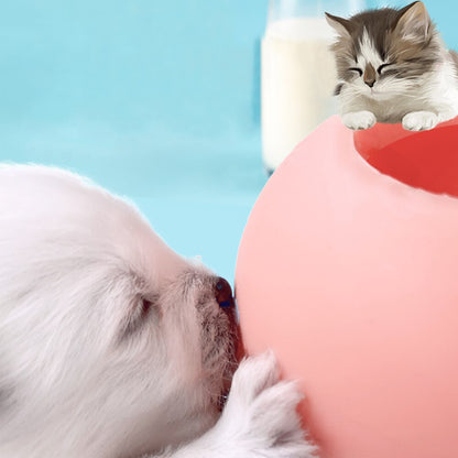 Kitten Milk Feeder