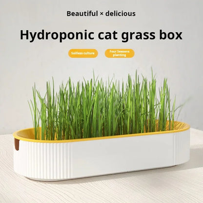 Cat Grass Container