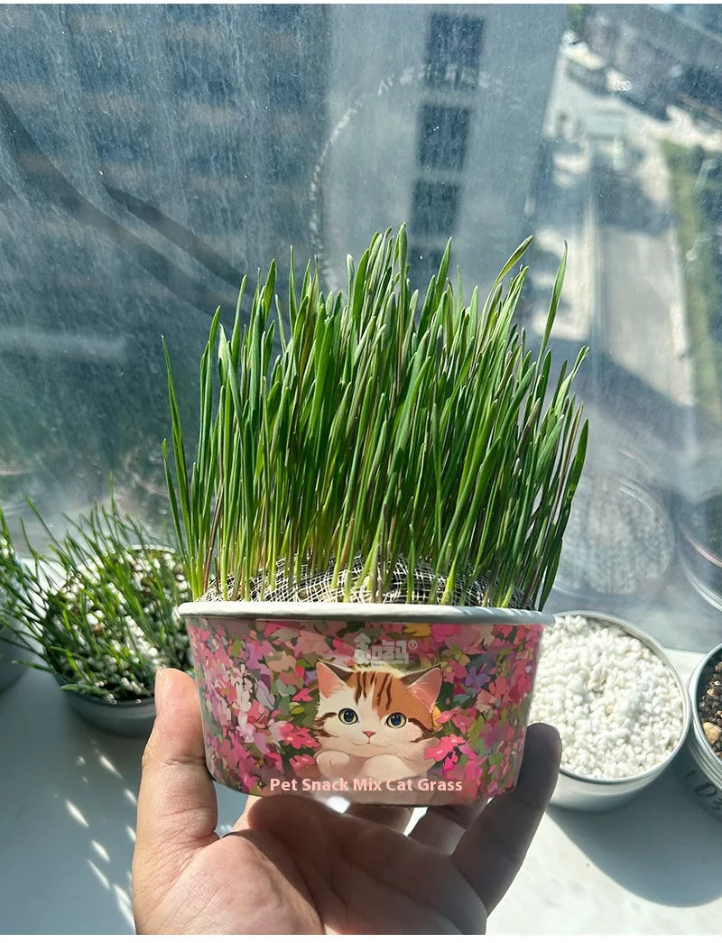 Organic Pet Grass