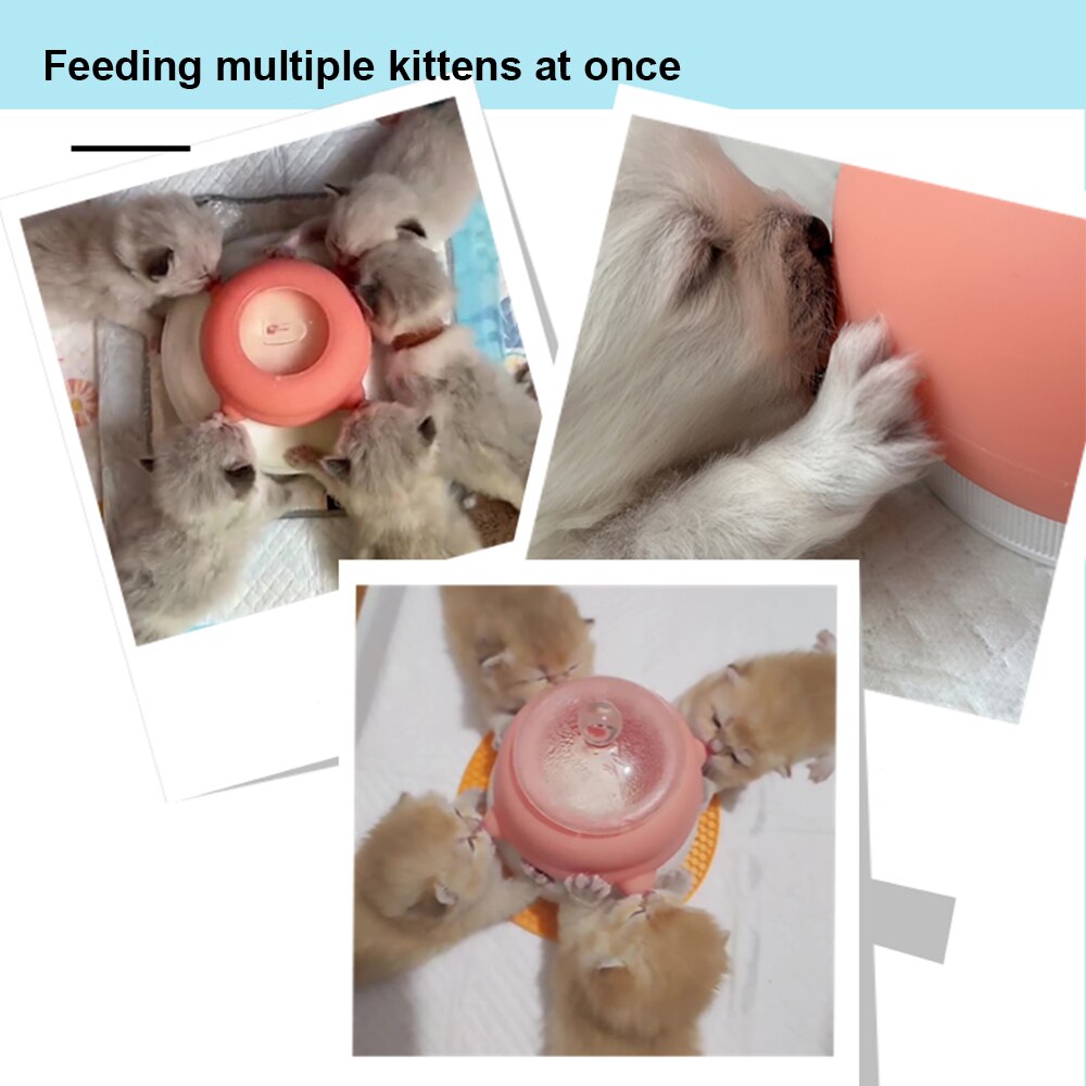 Kitten Milk Feeder