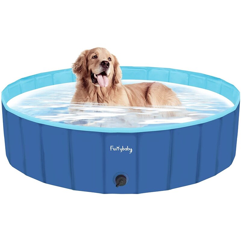 Doggo Pool
