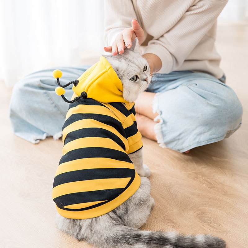 Cat Bee Costume