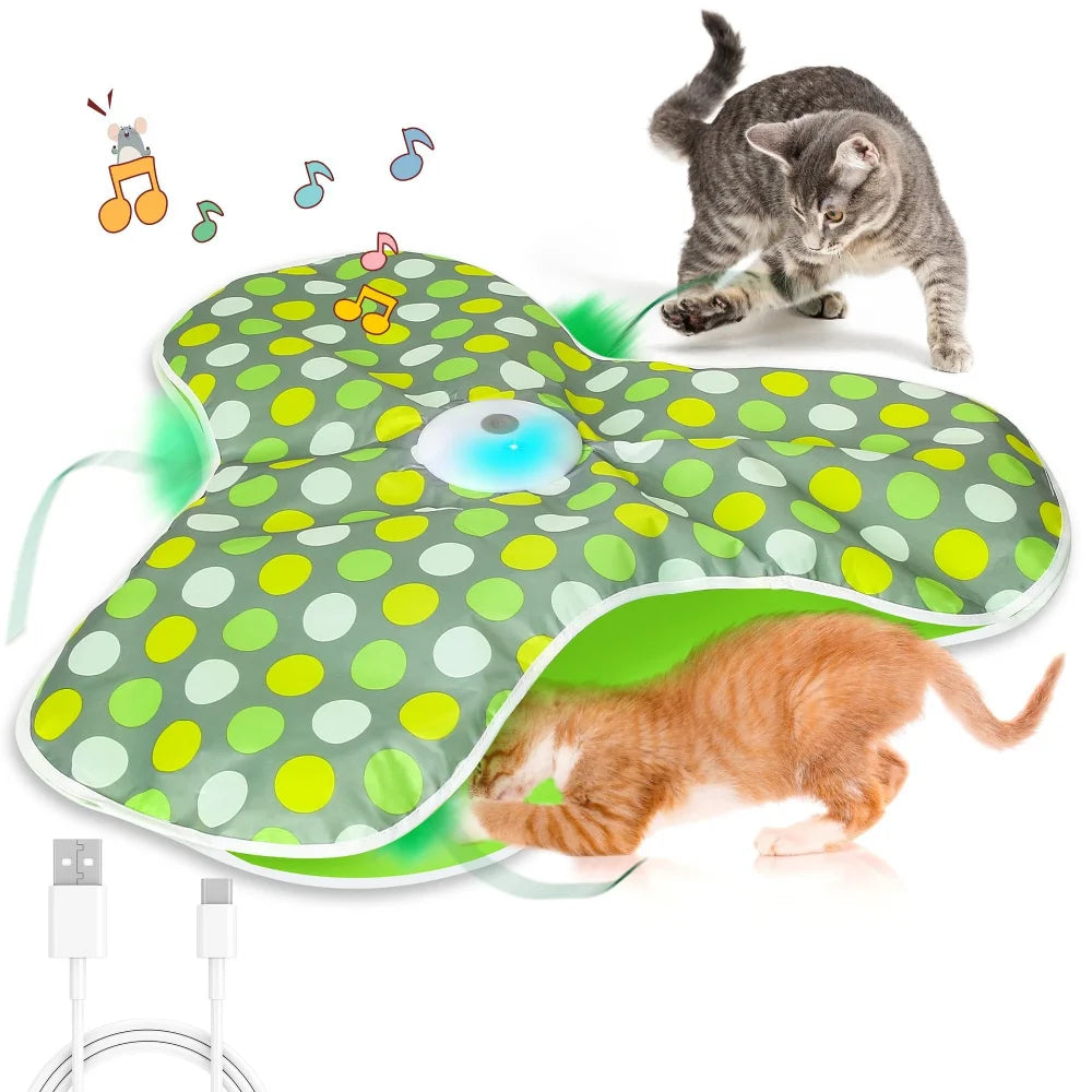 Smart Hide and Seek Cat Toy