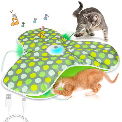 Smart Hide and Seek Cat Toy