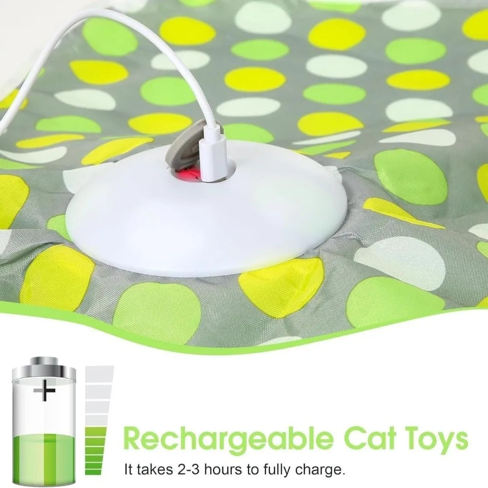 Smart Hide and Seek Cat Toy
