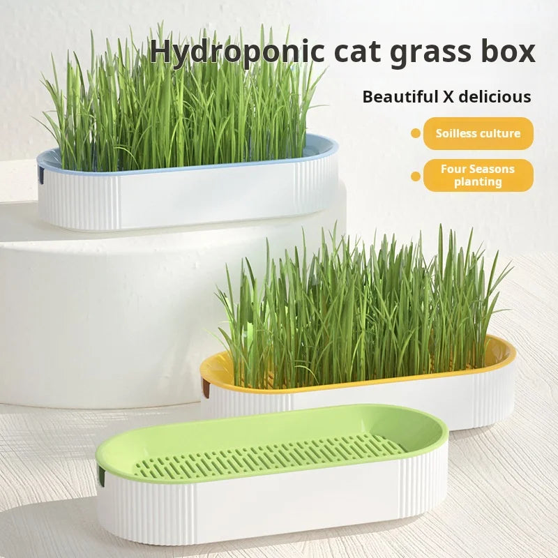 Cat Grass Container