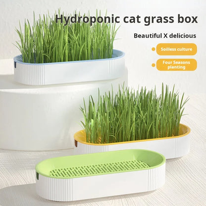 Cat Grass Container