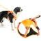 NEW 2 in 1 – Dog Harness