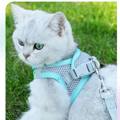 Cat Harness