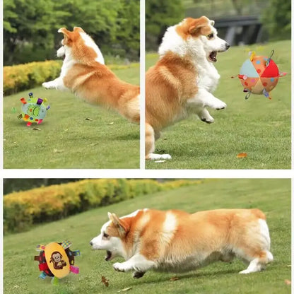 Dog Playing Plushy Ball