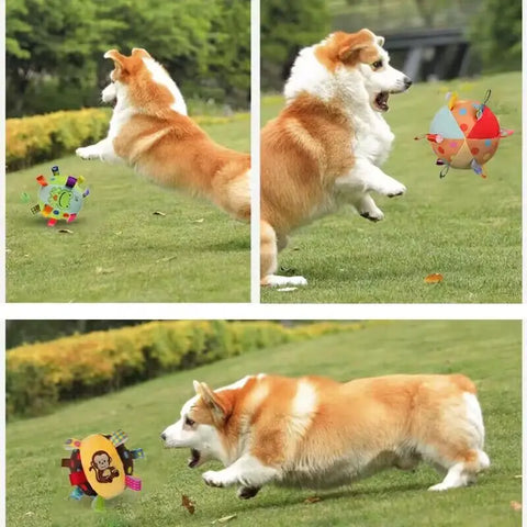 Dog Playing Plushy Ball