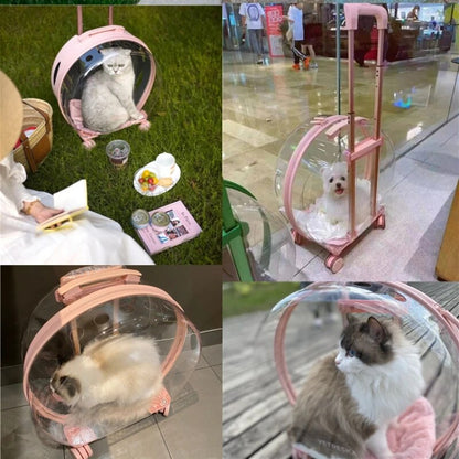 Transparent Pet Suitcase