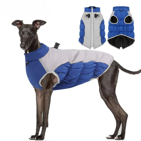 Winter Dog Jacket