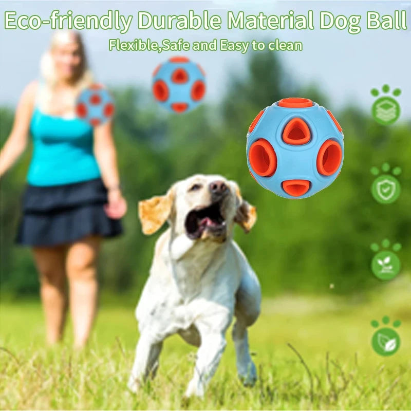 Dog Treats Ball
