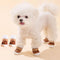 NEW 4pcs Winter Dog Shoes