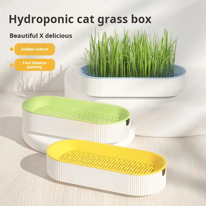 Cat Grass Container