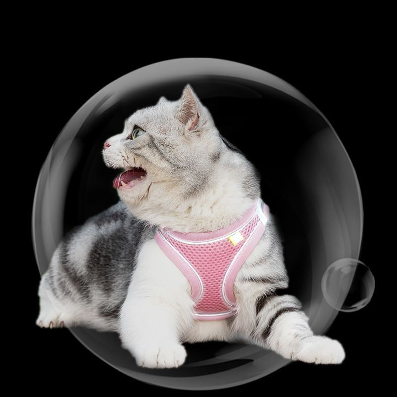 Cat Harness
