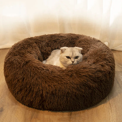 Donut Dog Bed