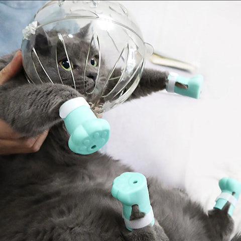 Breathable Cat Helmet