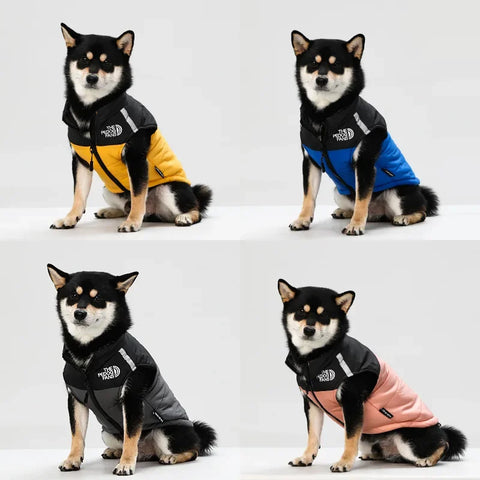 Dog jacket