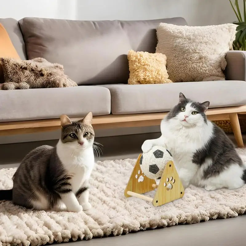Cat Training Ball