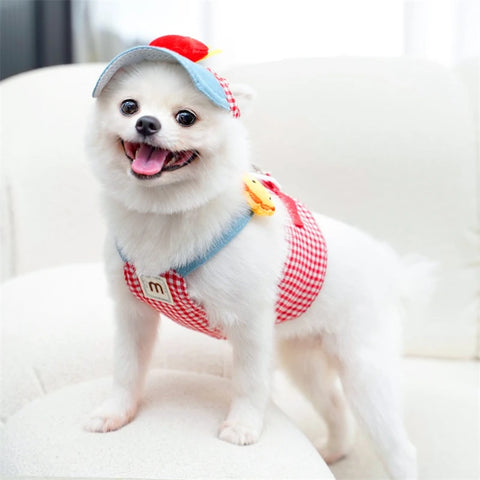 Cute Dog Costumes