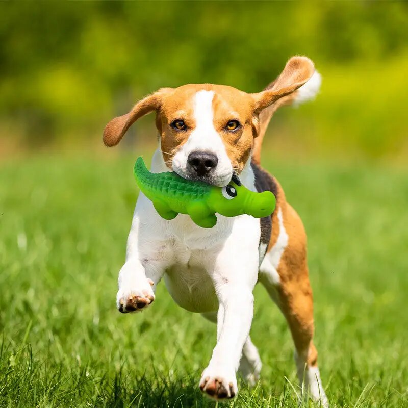 Crocodile Squeaky Toy