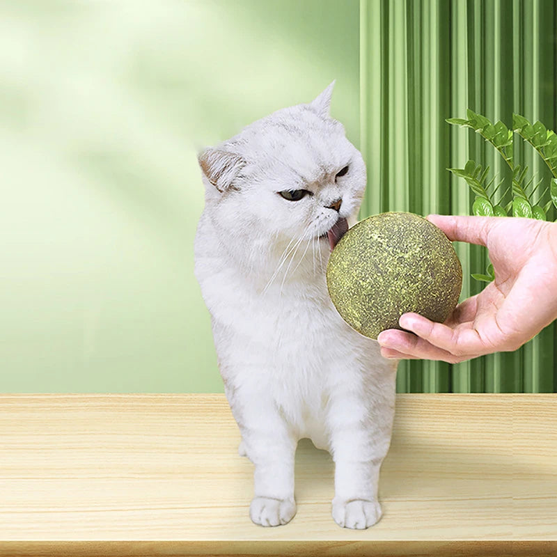 Giant Catnip Ball