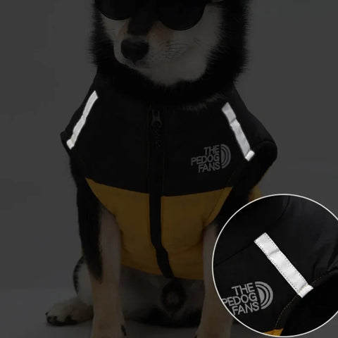 Dog jacket