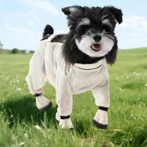 Waterproof Dog Jumpsuit