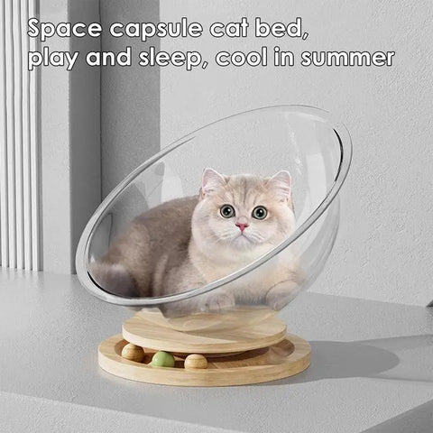 Round Glass Bed For Cats