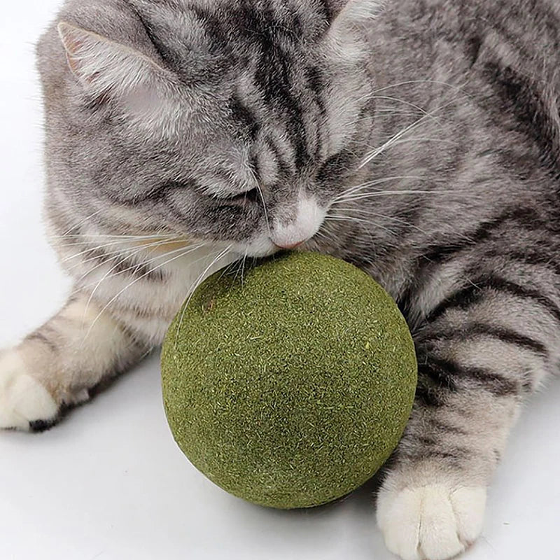 Giant Catnip Ball