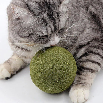 Giant Catnip Ball