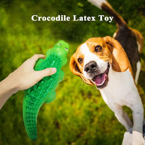 Crocodile Squeaky Toy