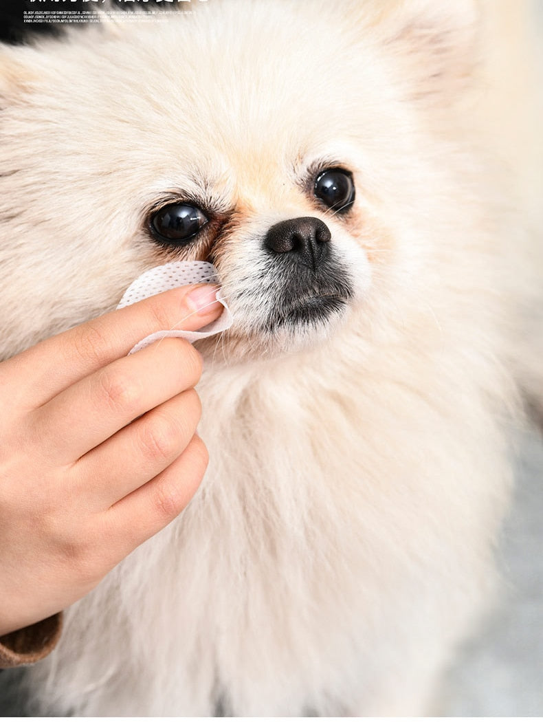Ear and Eye Cleaning Wipes