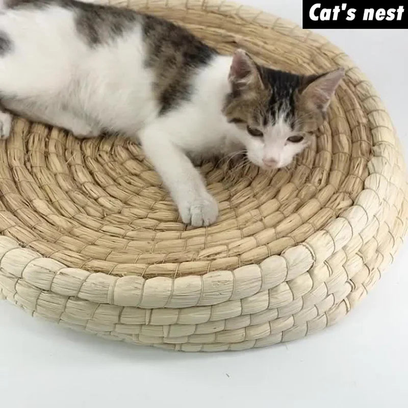 Cat Scratching Bed