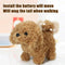 Baby Dog Toy