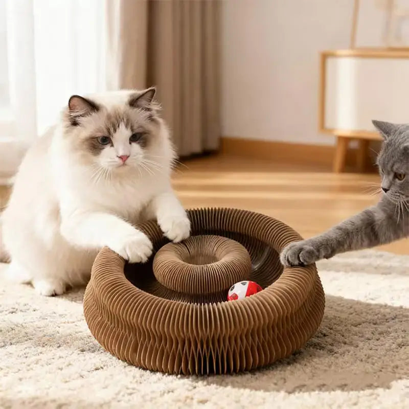Magic Accordion Cat Scratcher