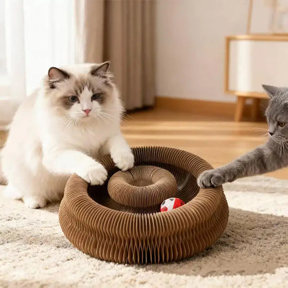 Magic Accordion Cat Scratcher