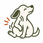 Frequent Scratching