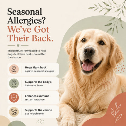 Allergy & Immune Bites for Dogs