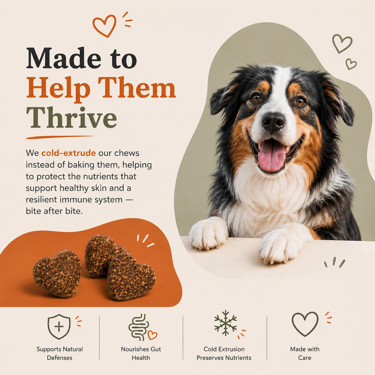Allergy & Immune Bites for Dogs