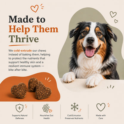 Allergy & Immune Bites for Dogs