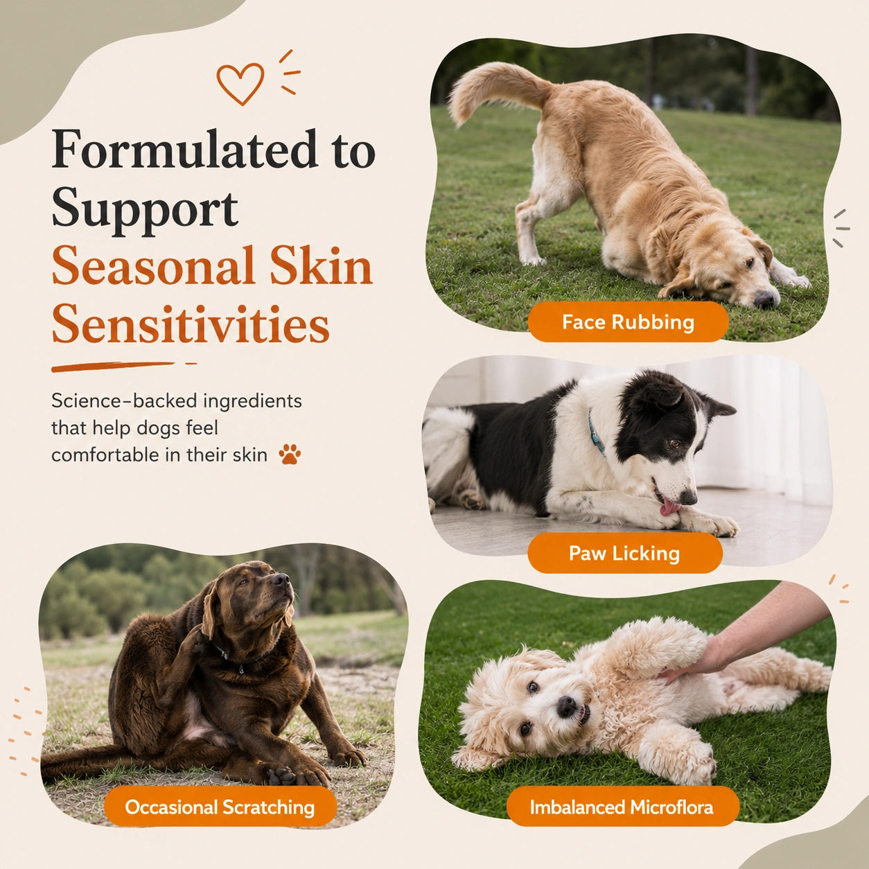 Allergy & Immune Bites for Dogs