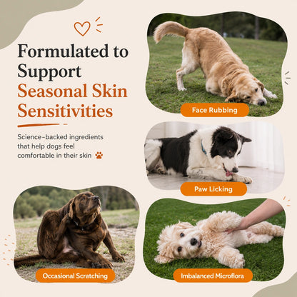 Allergy & Immune Bites for Dogs