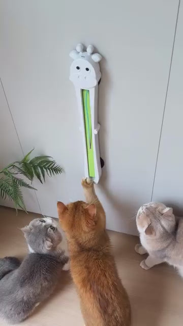 Flying Rope Cat Toy