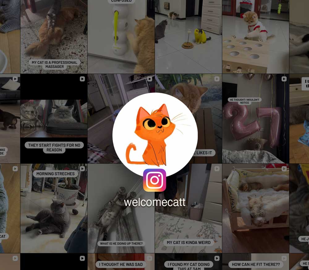 Cute Finds for Cat Lovers