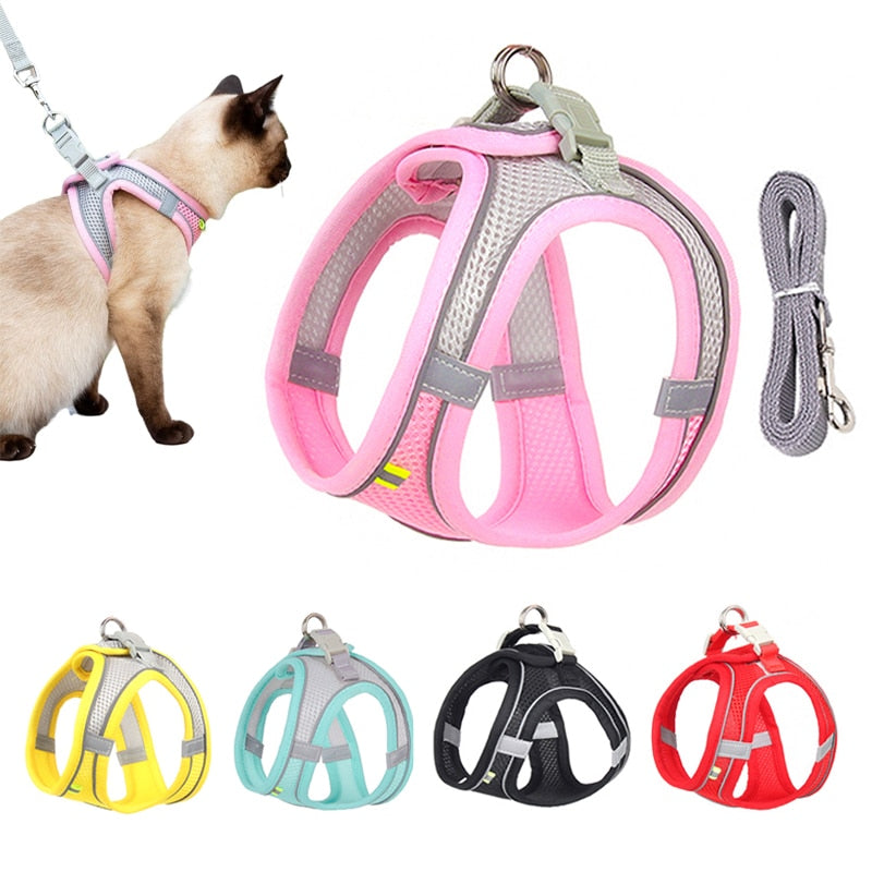 Cat Harness