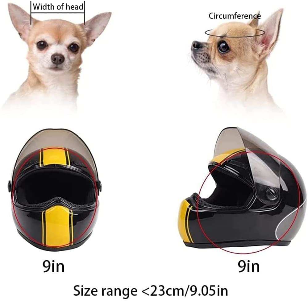 bike helmets for cats Cat Helmet – Pawslovestore